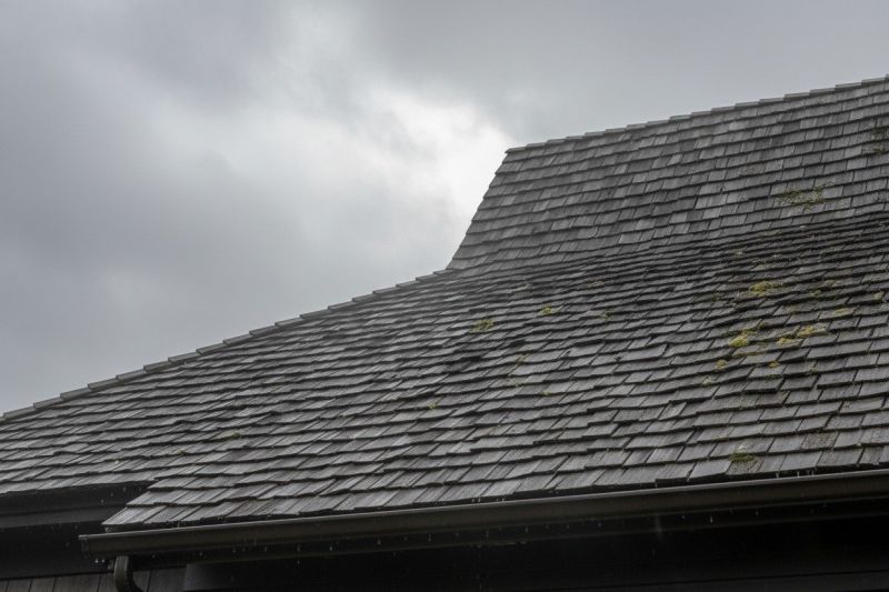 Cedar Roof Replacement detail